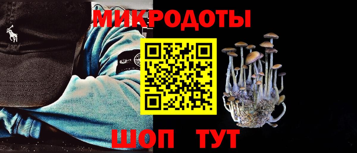 наркошоп  Вход с VPN  Псилоцибиновые грибы Cubensis  Славянск-на-Кубани  Галлюциногенные грибы прущие грибы 